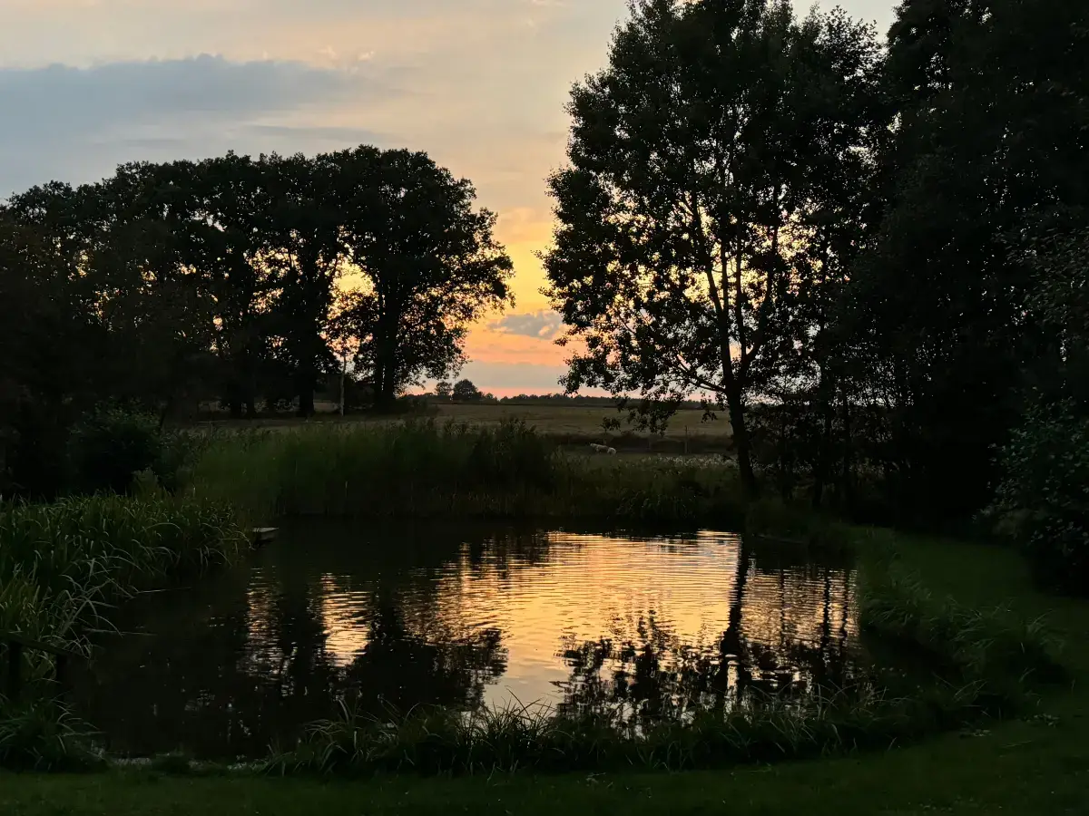 Der Badeteich am Heidehof im Abendlicht